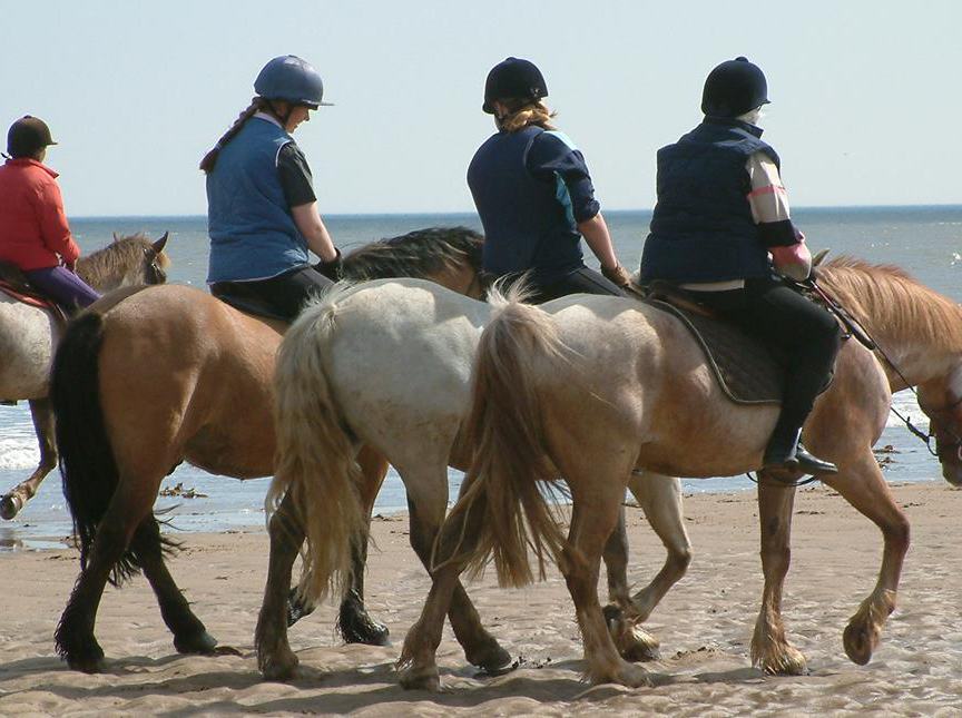 Horse Riding